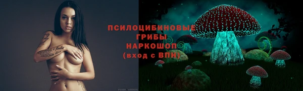метадон Алексин