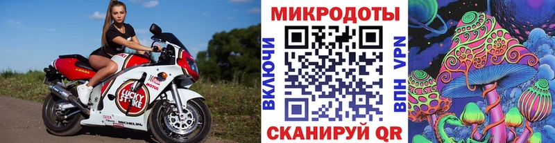 Псилоцибиновые грибы Magic Shrooms  Суджа 